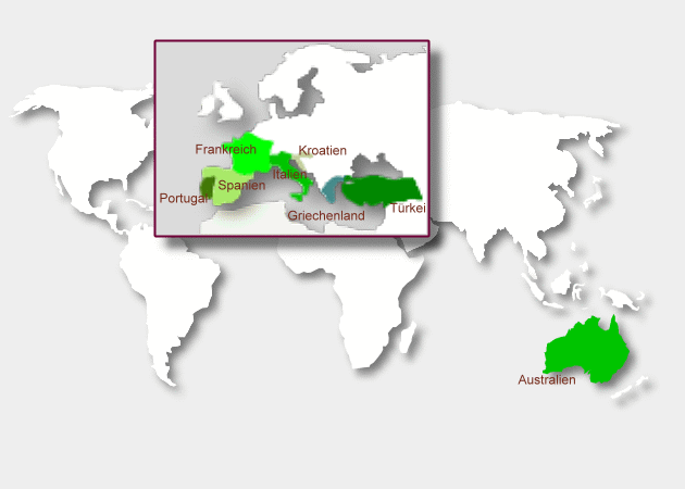 Karte der Olivenöl-Anbaugebiete der Welt
