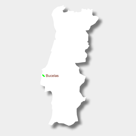 Karte Weinbaugebiet Bucelas