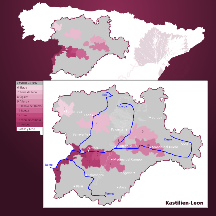 Karte Weinbaugebiet Kastilien-Leon