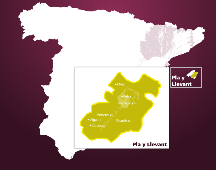 Karte Weinbaugebiet Pla i Llevant